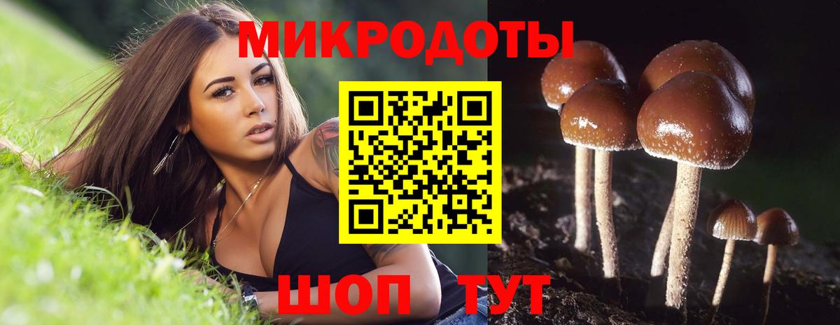 Майкоп  Псилоцибиновые грибы Psilocybe  даркнет сайт  Вход с VPN 